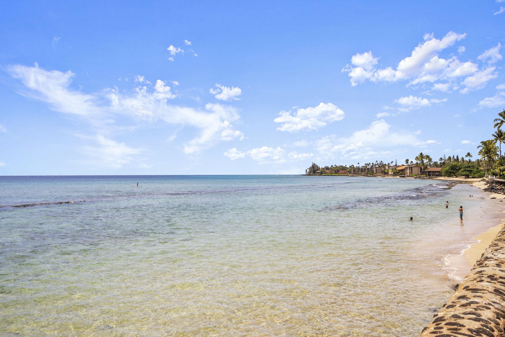 3543 Lower Honoapiilani Road, Unit D401 Lahaina, HI 96761 - Photo 30 of 37