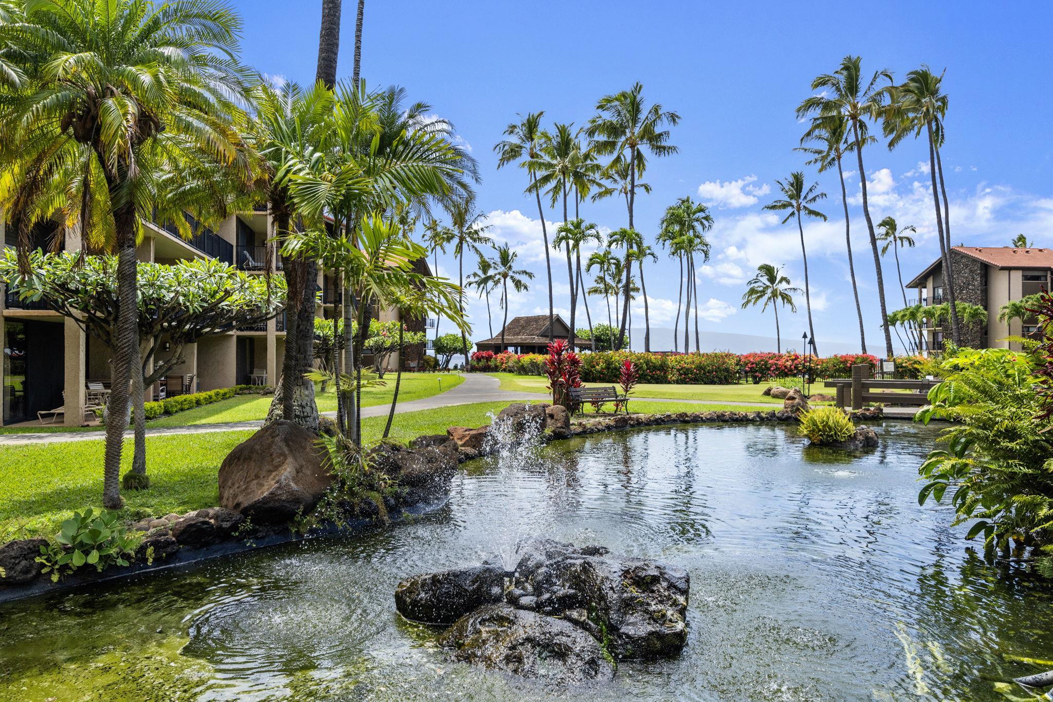 3543 Lower Honoapiilani Road, Unit D401 Lahaina, HI 96761 - Photo 36 of 37