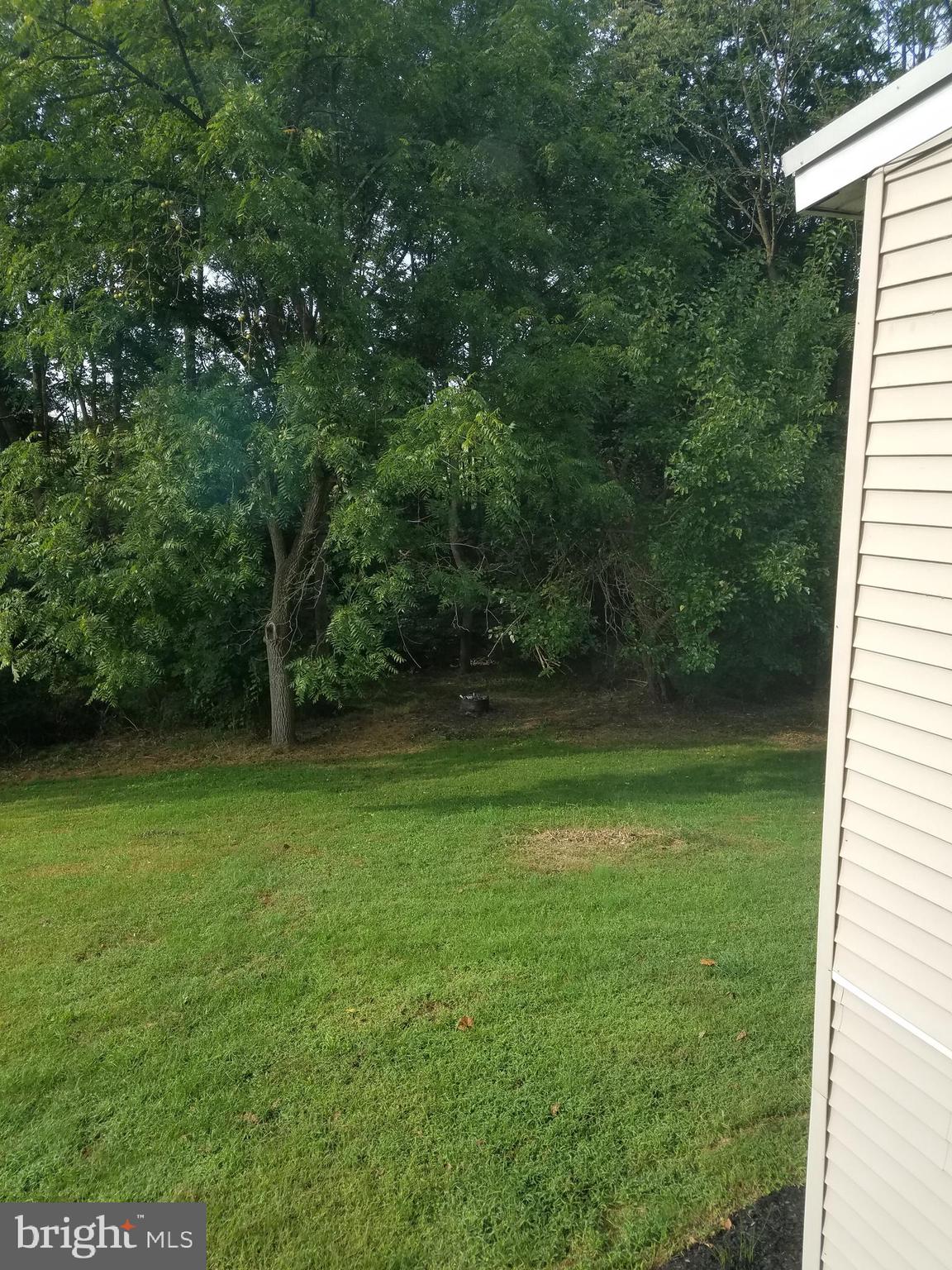 318 Kricks Mill Road Robesonia, PA 19551 - Photo 12 of 14 rear yard 2