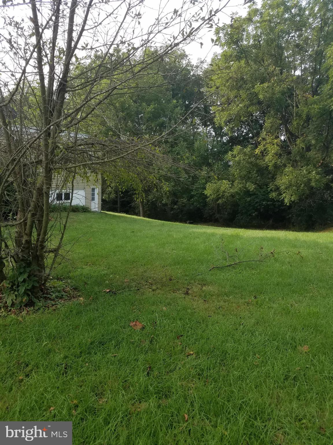 318 Kricks Mill Road Robesonia, PA 19551 - Photo 14 of 14 side yard 2