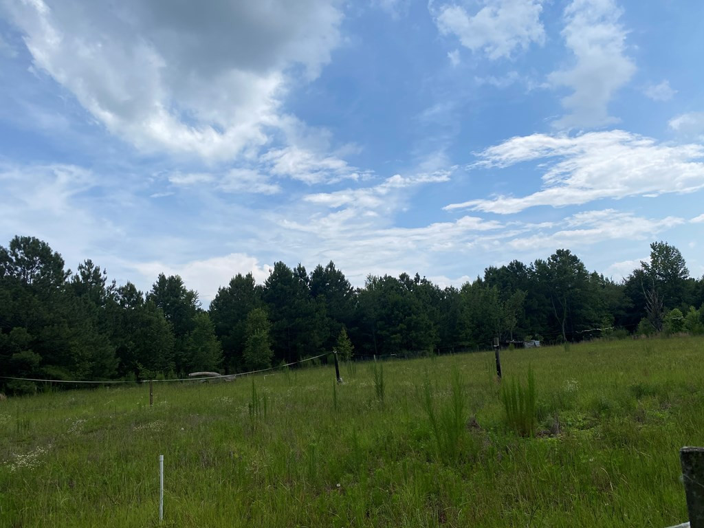 0 Providence Street Sumter, SC 29153 - Photo 3 of 3
