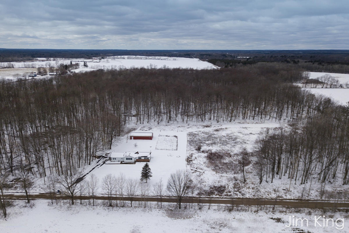 11893 North Bailey Road Morley, MI 49336 - Photo 36 of 38 36