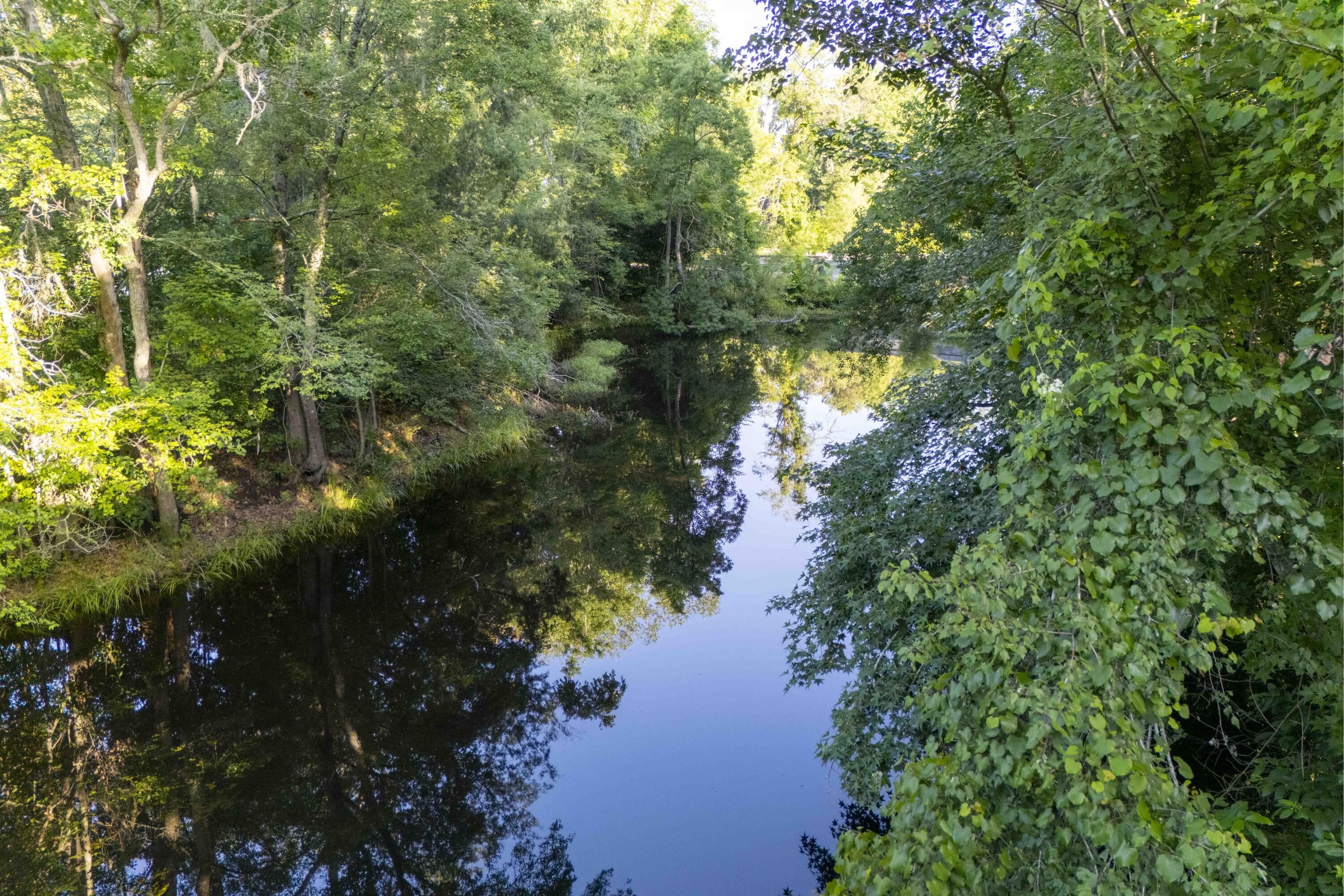 6611 Crooked Creek Road Tallahassee, FL 32311 - Photo 10 of 50 a view of lake from a yard