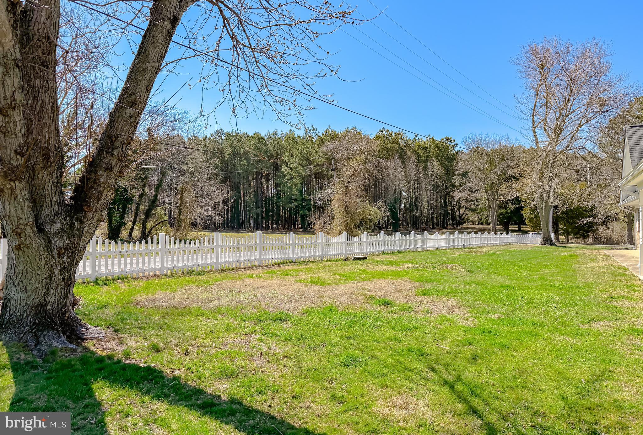 49716 Airedele Road Ridge, MD 20680 - Photo 89 of 115