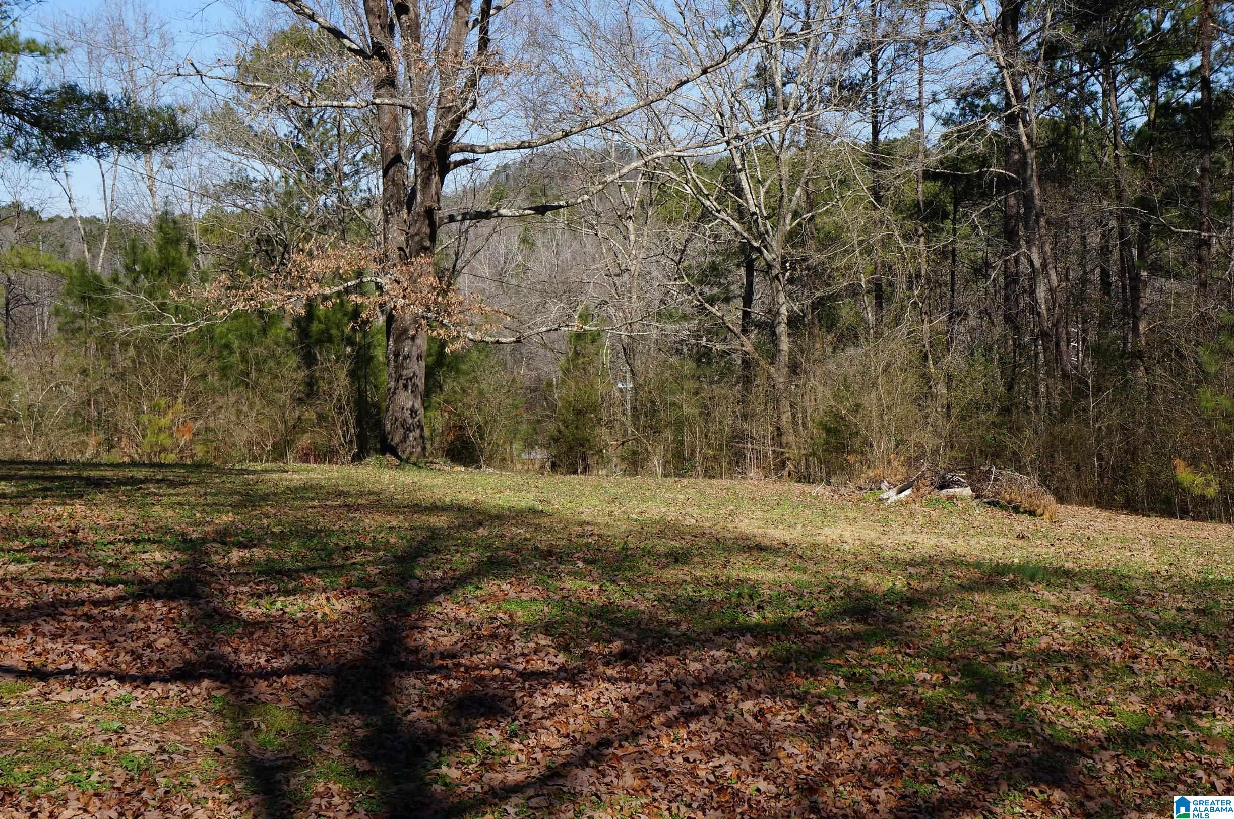 2410 Taylors Mill Road Talladega, AL 35160 - Photo 12 of 50