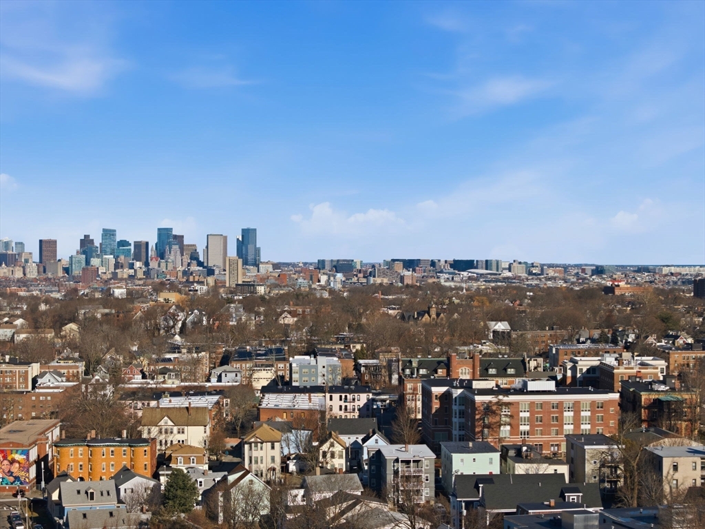 23 Olmstead Street, Unit 1 Boston, MA 02130 - Photo 28 of 34