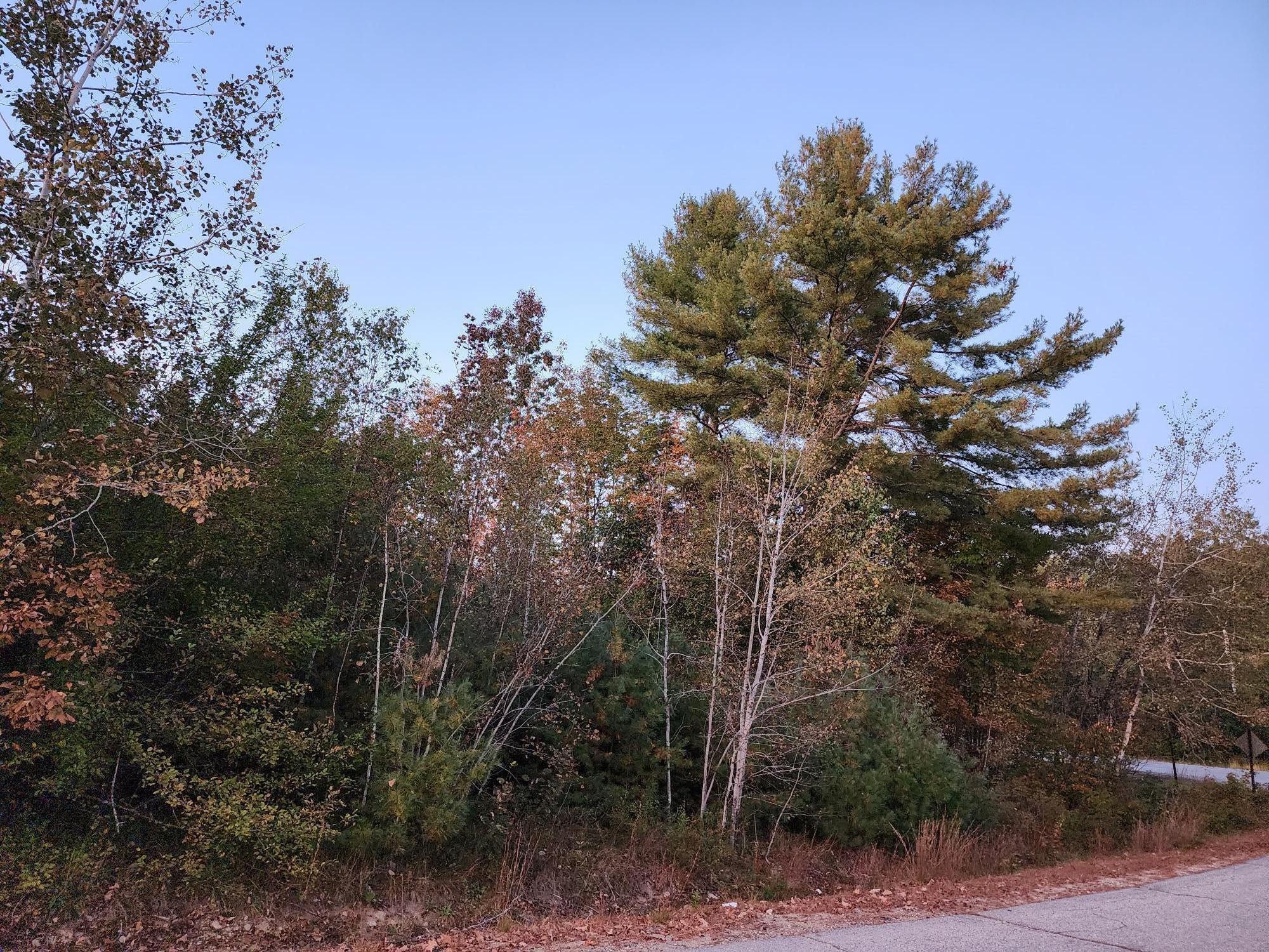 Lot #1 Jackson Crossing Road South Paris, ME 04281 - Photo 8 of 10