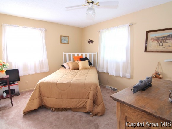 616 Magnolia Drive Rochester, IL 62563 - Photo 8 of 19