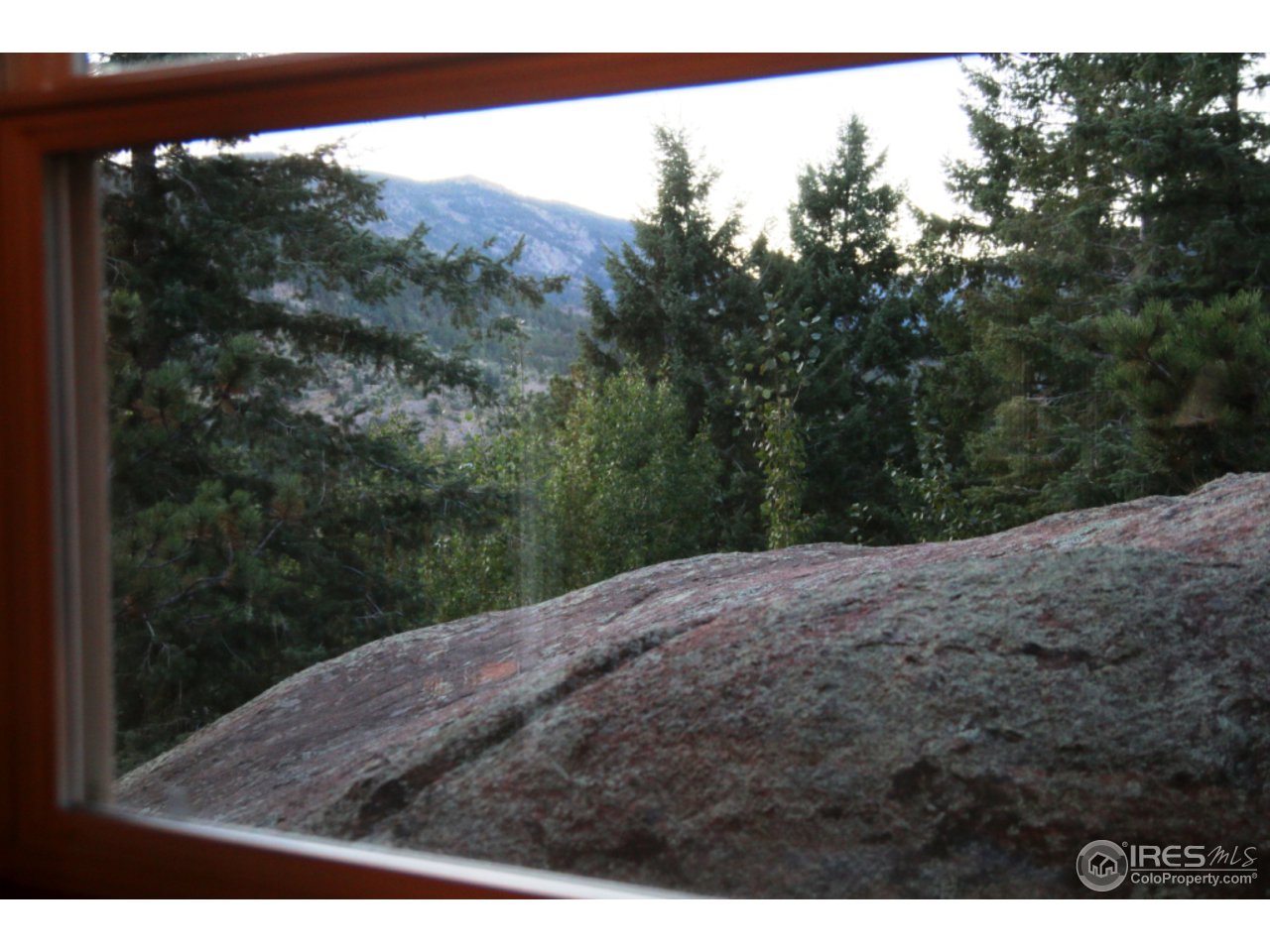 164 Button Rock Road Lyons, CO 80540 - Photo 12 of 23 a view of a yard with a tree