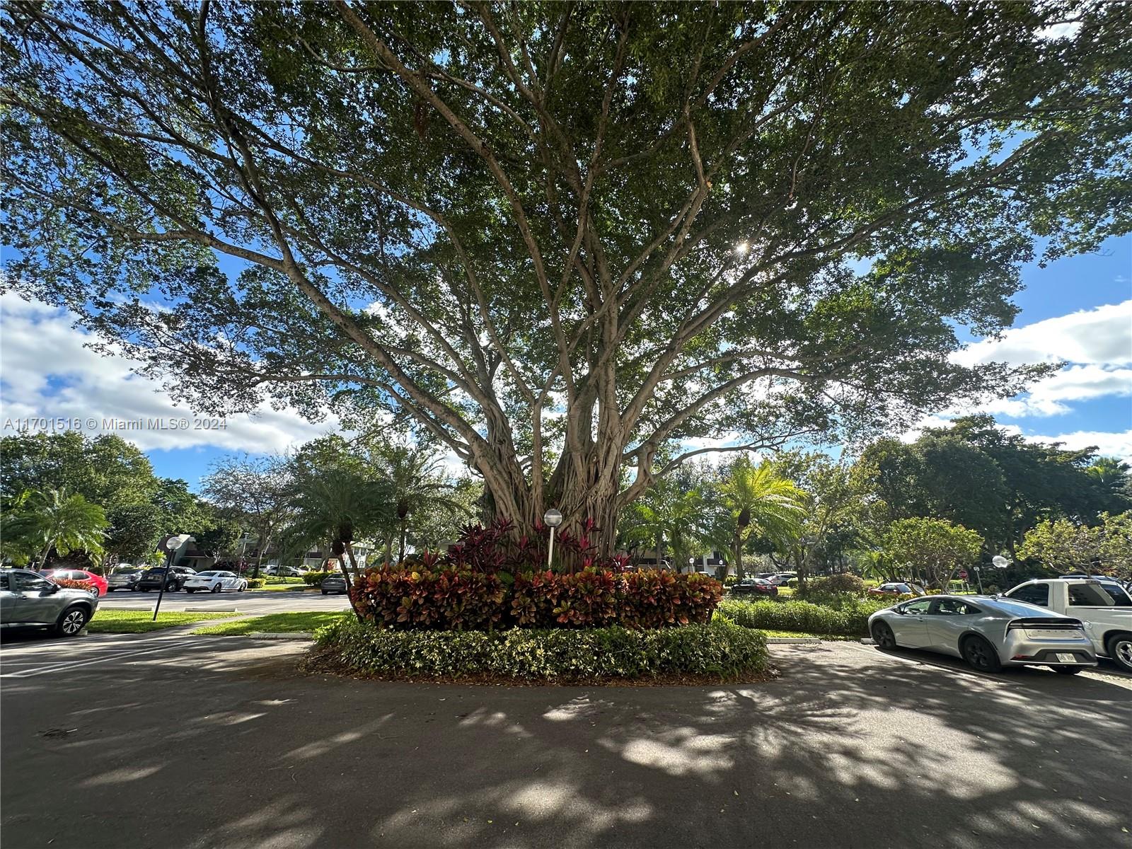 3080 North Course Drive, Unit 602 Pompano Beach, FL 33069 - Photo 18 of 23