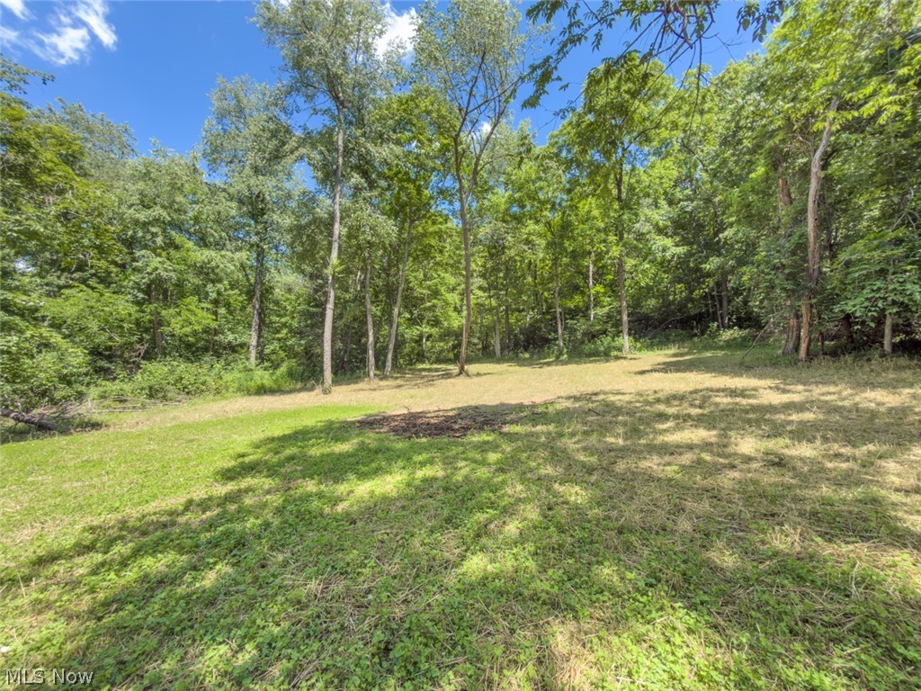 6985 Brush Run Road Cambridge, OH 43725 - Photo 48 of 50