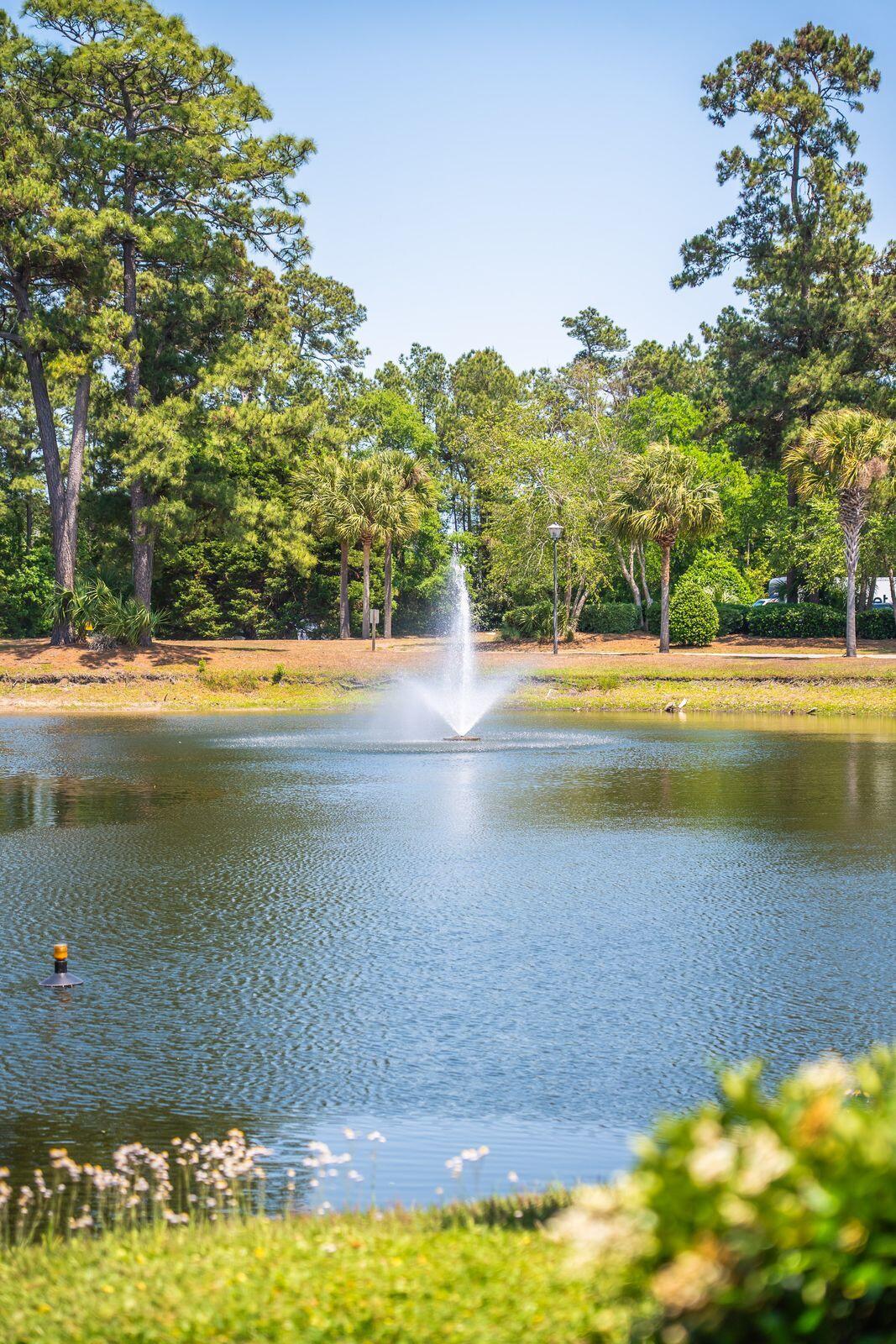 2011 North Highway 17, Unit 1900R Mount Pleasant, SC 29466 - Photo 50 of 79 Fountain
