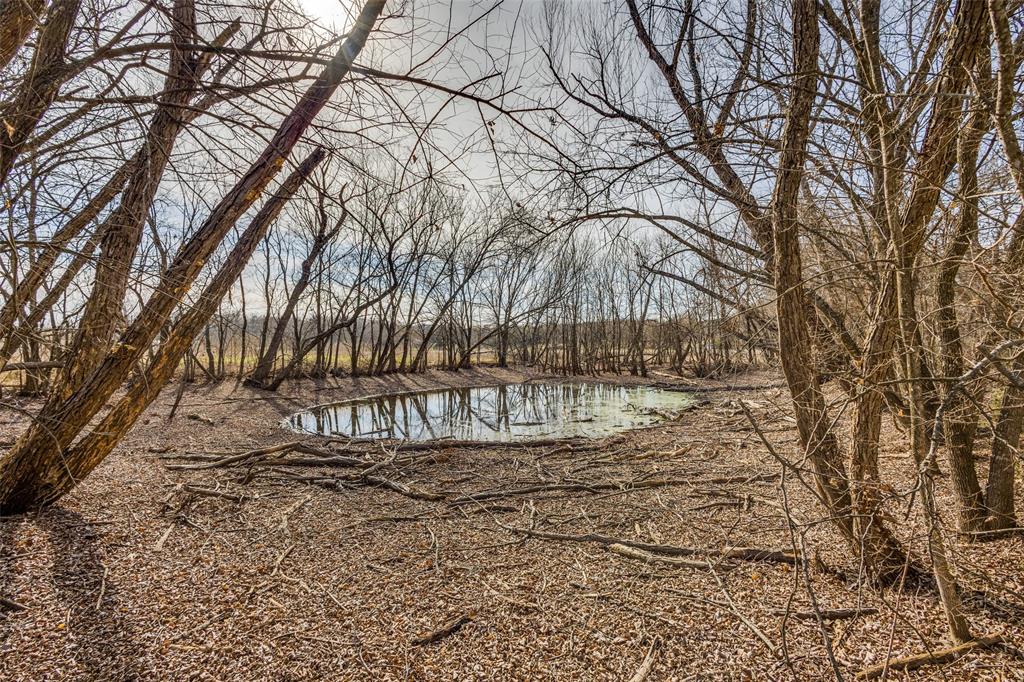 1425 Cowan Road Weston, TX 75009 - Photo 24 of 27 View of trees