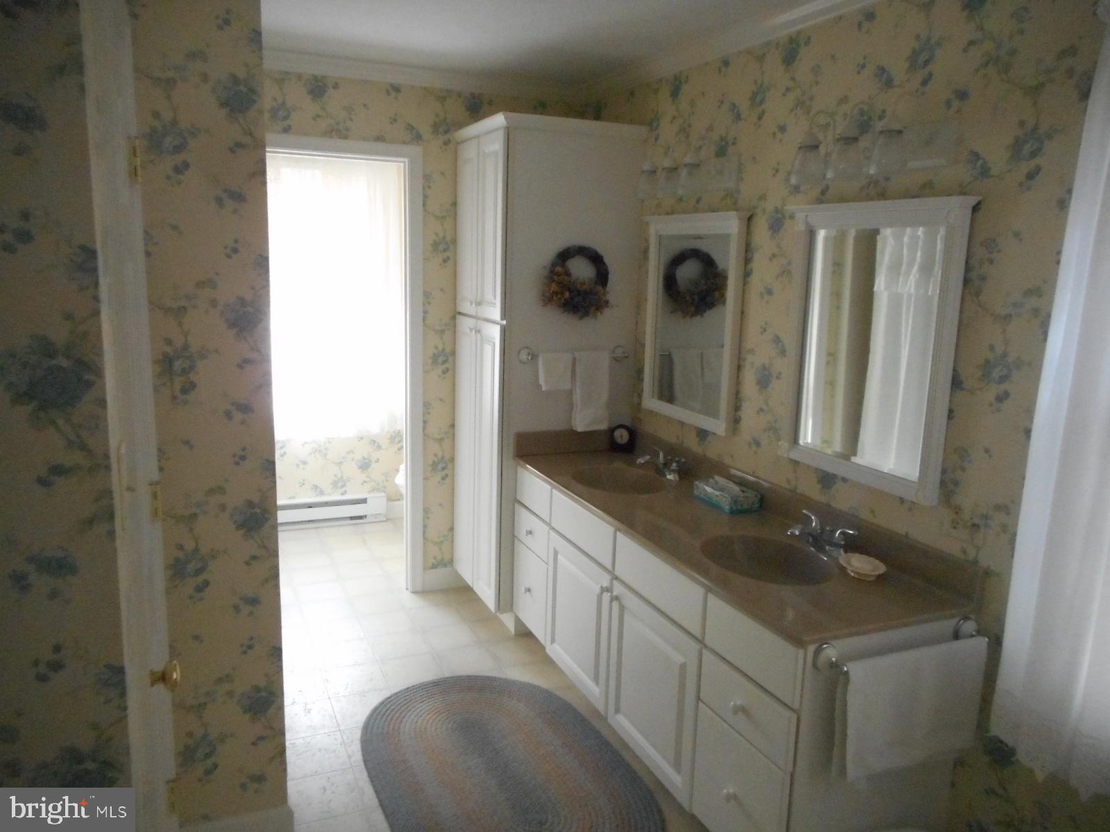 106 Russelcroft Road Winchester, VA 22601 - Photo 15 of 32 Master bathroom - main level