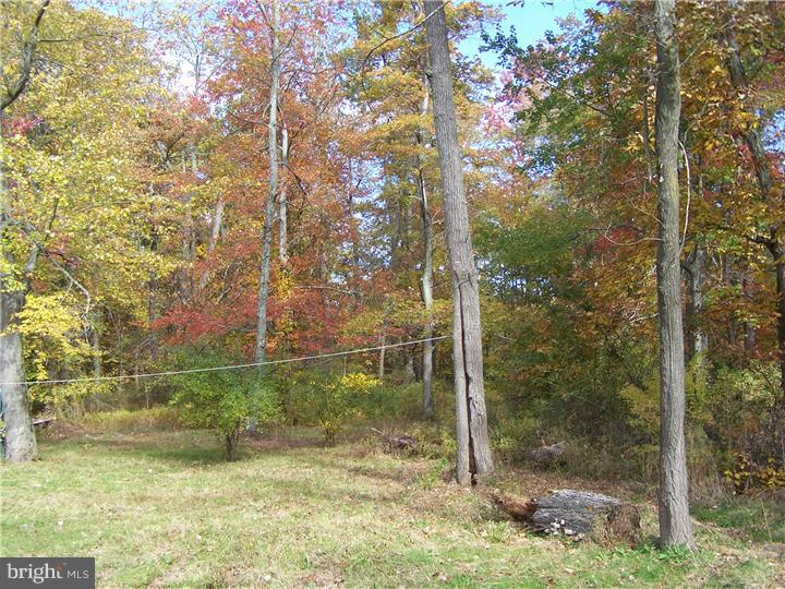 1015 Callowhill Road Perkasie, PA 18944 - Photo 5 of 8