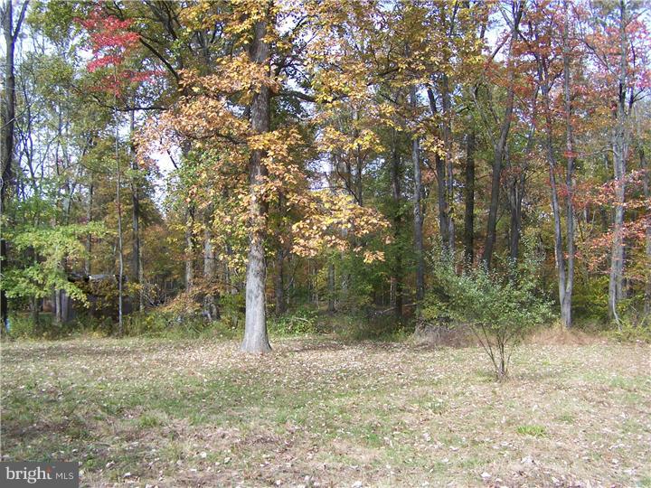 1015 Callowhill Road Perkasie, PA 18944 - Photo 7 of 8