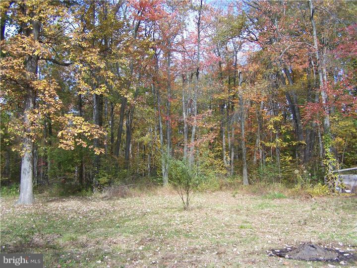 1015 Callowhill Road Perkasie, PA 18944 - Photo 8 of 8