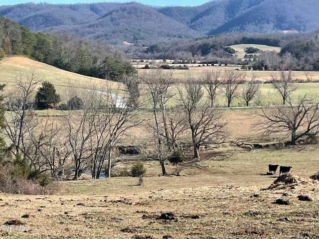 $775,000 | 8893 Asheville Highway, Greeneville, TN 37743