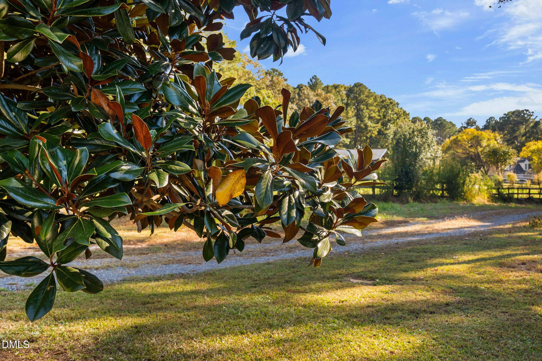 9916 Bonsal Crossing Road New Hill, NC 27562 - Photo 59 of 80 39-web-or-mls-9916-bonsal-crossing-rd