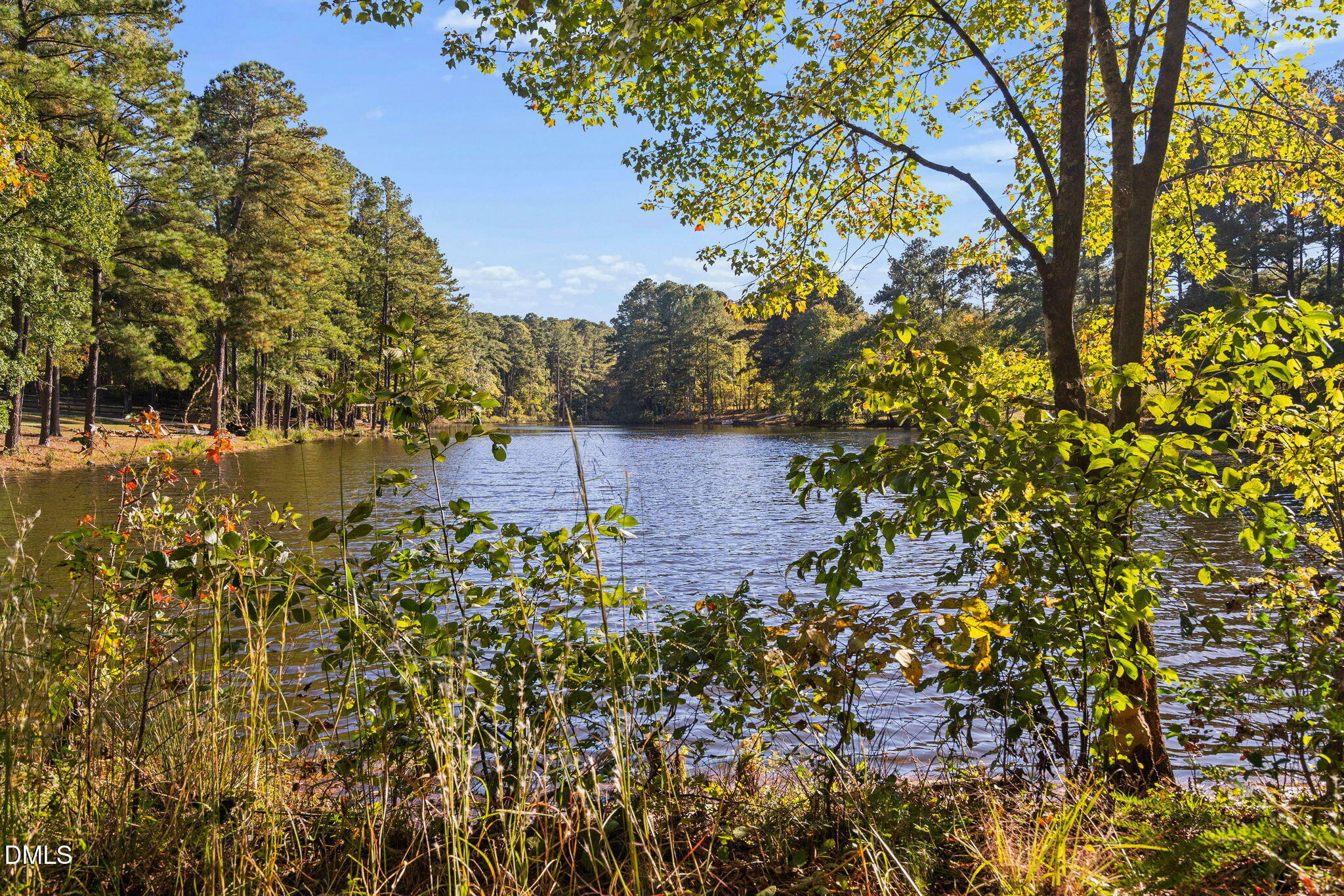 9916 Bonsal Crossing Road New Hill, NC 27562 - Photo 8 of 80 94-web-or-mls-9916-bonsal-crossing-rd