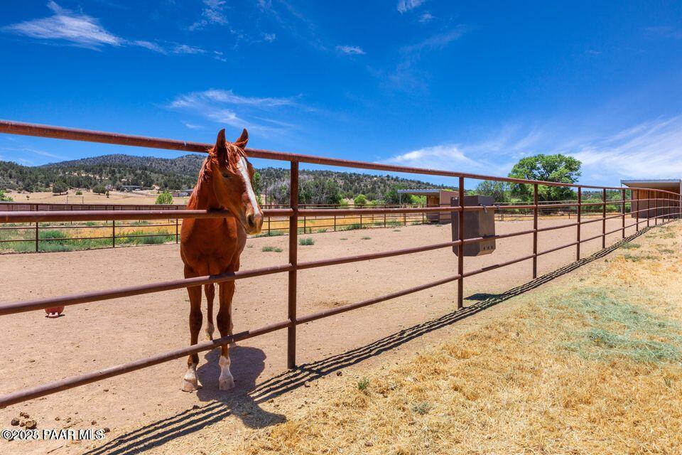 5475 West Stazenski Road Prescott, AZ 86305 - Photo 7 of 73 Horse property