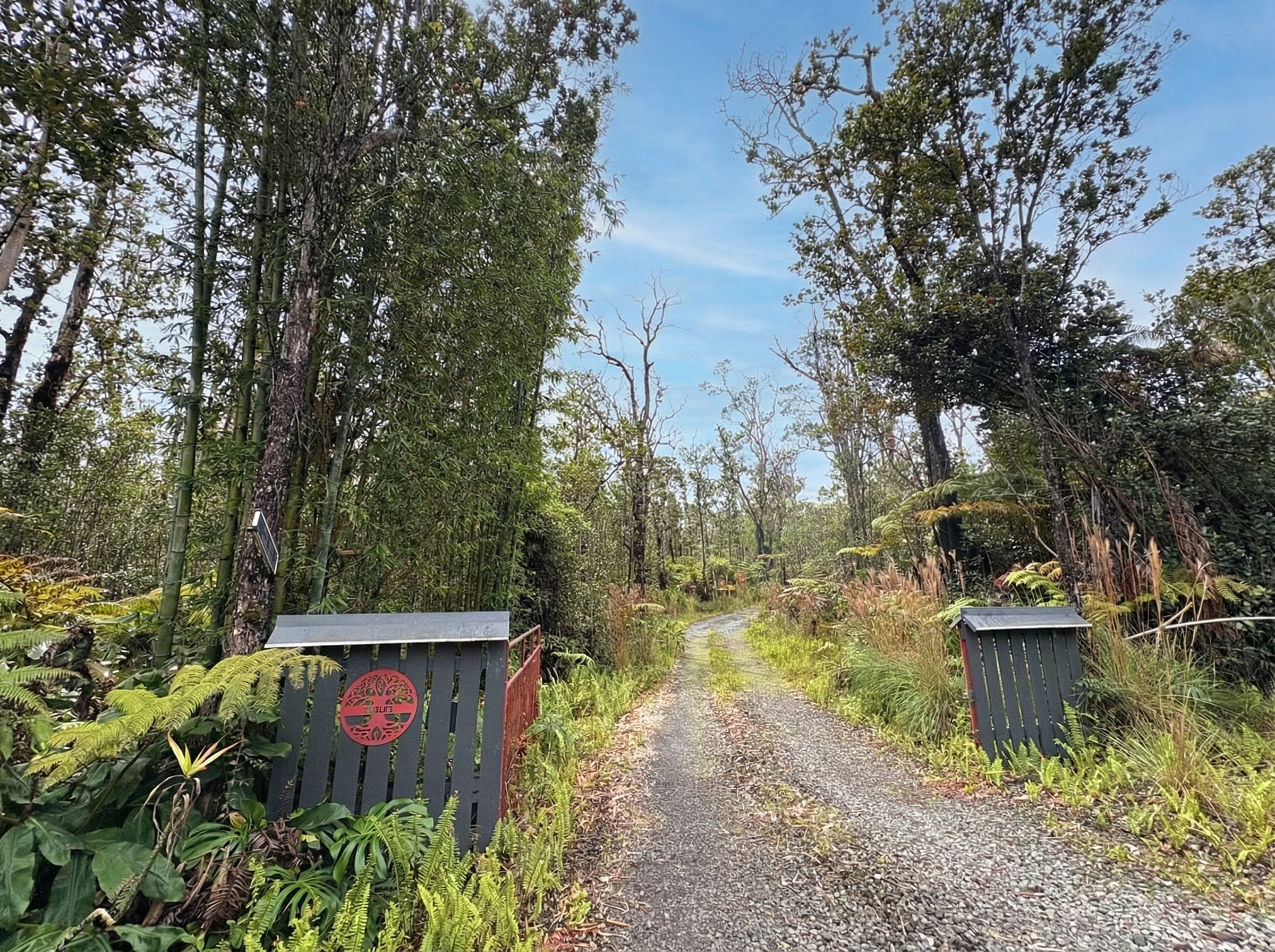 11-3083 Kaleponi Road Mountain View, HI 96771 - Photo 27 of 28 a view of a lake with trees all around