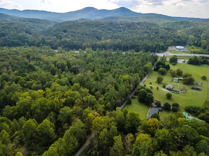 a view of a lush green forest with trees and some houses
