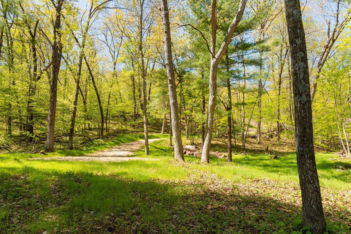 N4568 County Road North Arkansaw, WI 54721 - Photo 21 of 33
