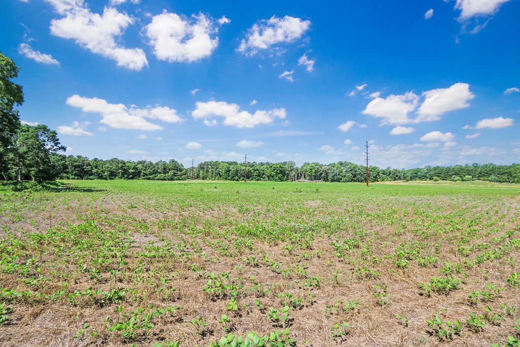 Lot 6 Fleming Road, Unit 6 Horntown, VA 23395 - Photo 5 of 26