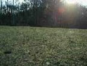 0 Rhea Valley Road Abingdon, VA 24211 - Photo 4 of 4 Photo 4