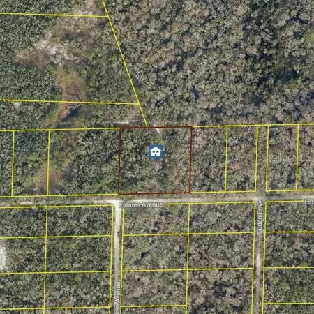 $52,000 | Rose Bloom Avenue, Webster, FL 33597