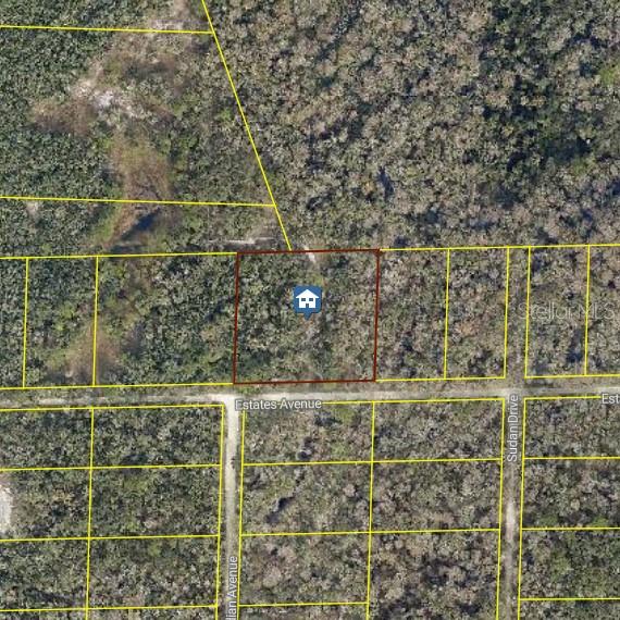 Rose Bloom Avenue Webster, FL 33597 - Photo 1 of 1