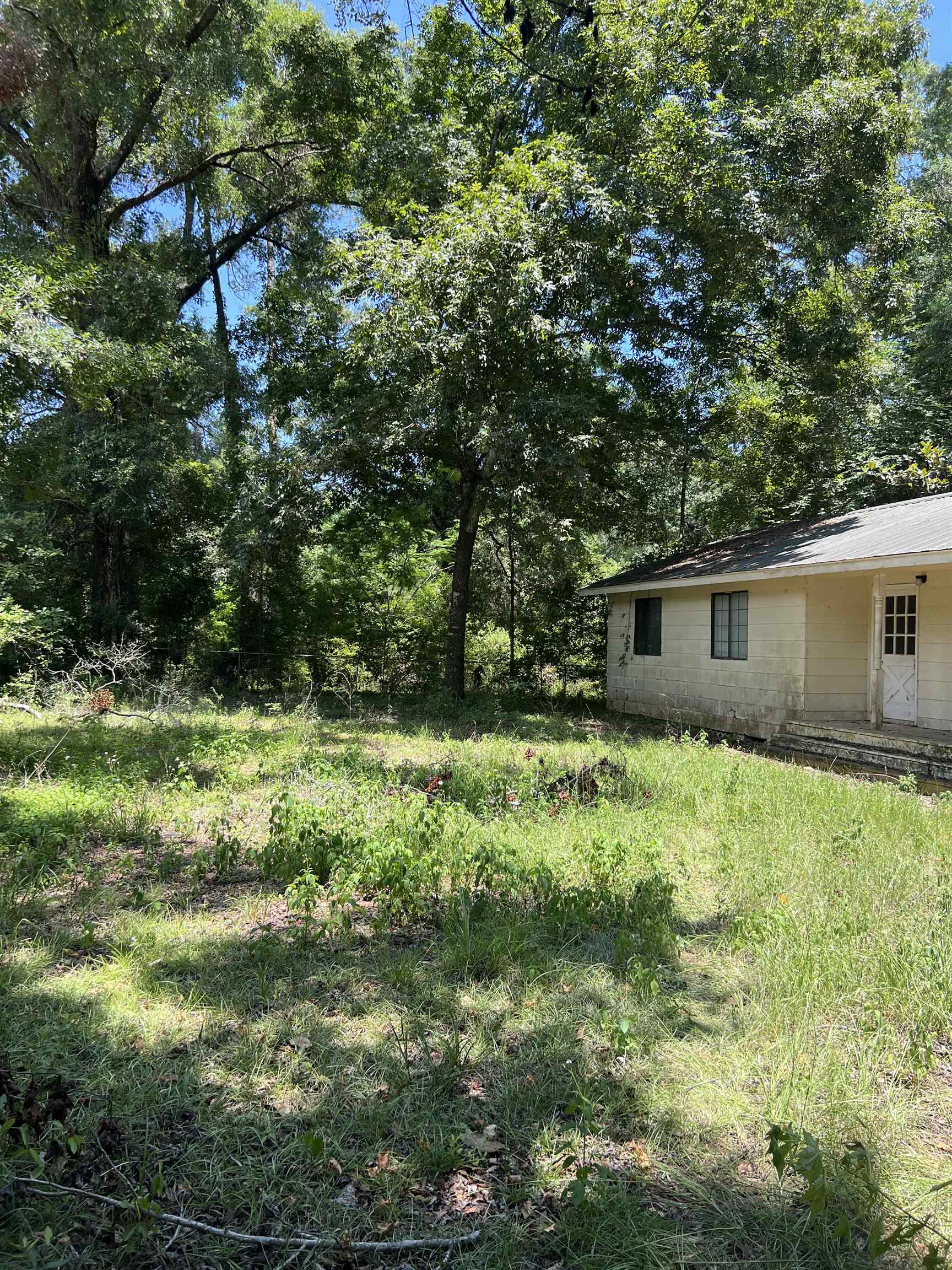 21 J R Milton Road Crawfordville, FL 32327 - Photo 2 of 12 Gallery Image 2