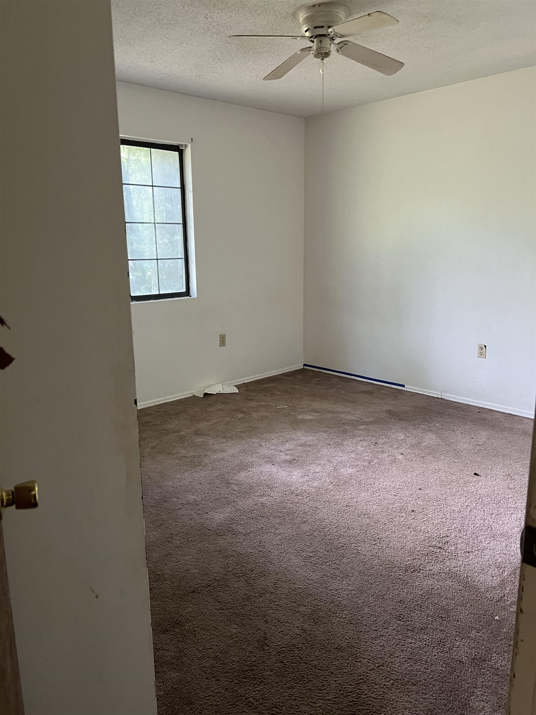 21 J R Milton Road Crawfordville, FL 32327 - Photo 10 of 12 Gallery Image 10
