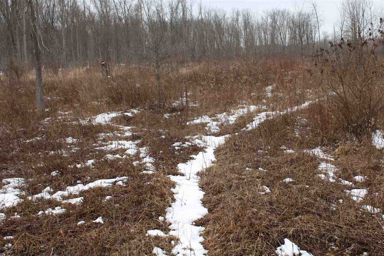 -vl Rhodes Road Turner, MI 48765 - Photo 10 of 12