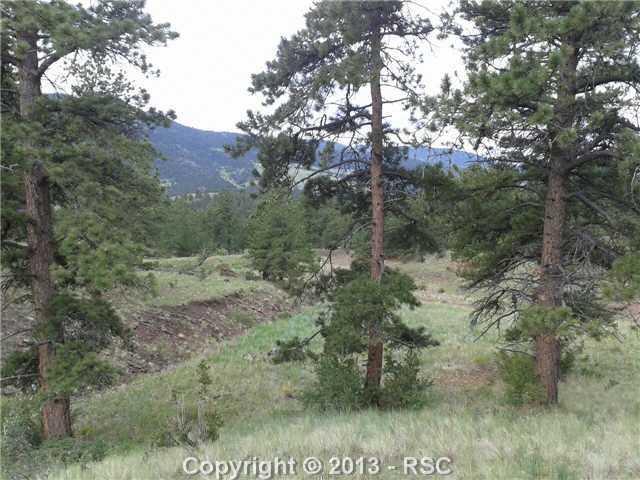 Tbd Wagonwheel Road Guffey, CO 80820 - Photo 10 of 18 Gallery Image 10