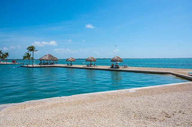 a view of swimming pool with outdoor seating and palm tree