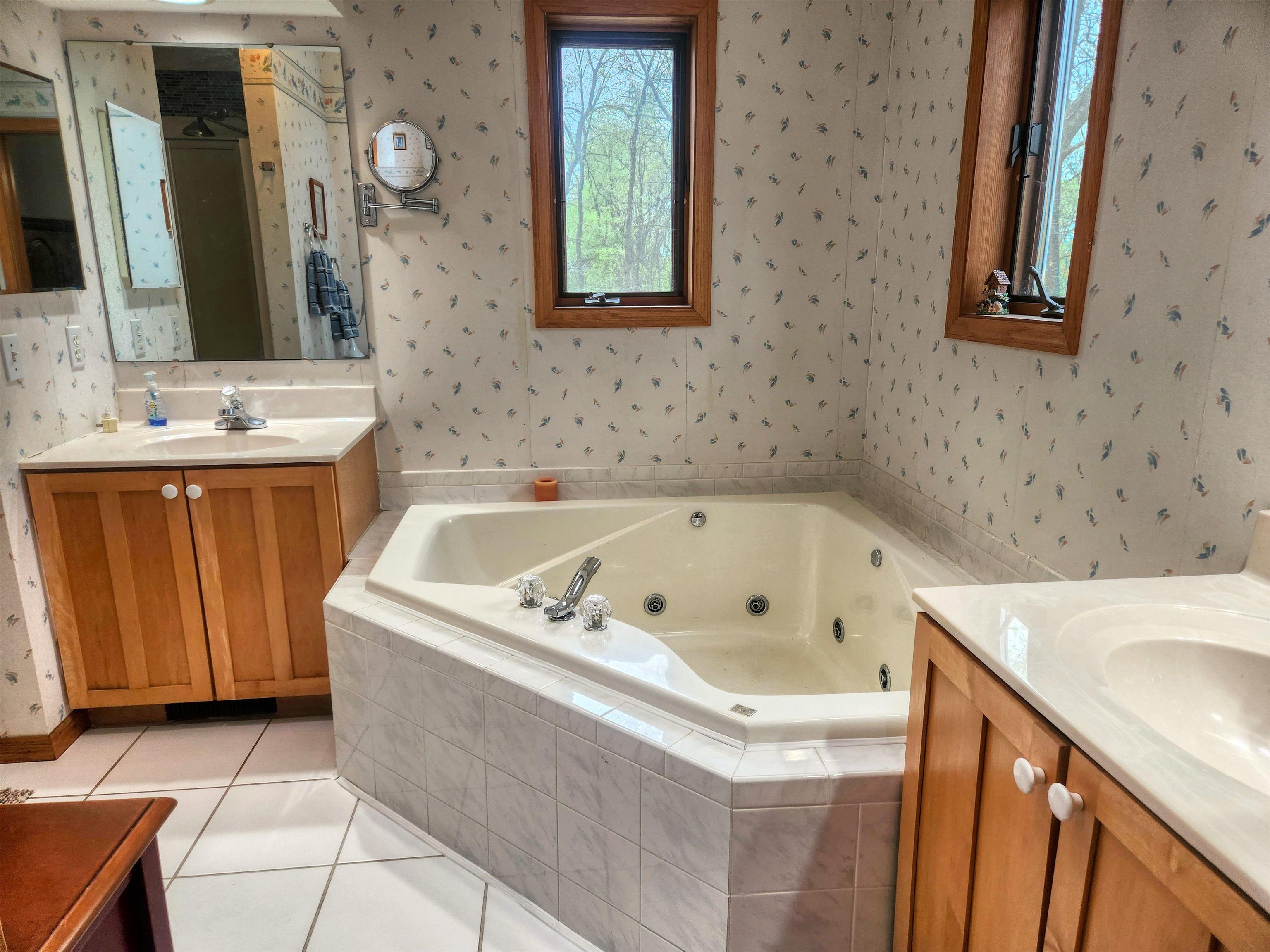 24344 Payne Road Shannon, IL 61078 - Photo 16 of 50 a bathroom with a bathtub sink and mirror