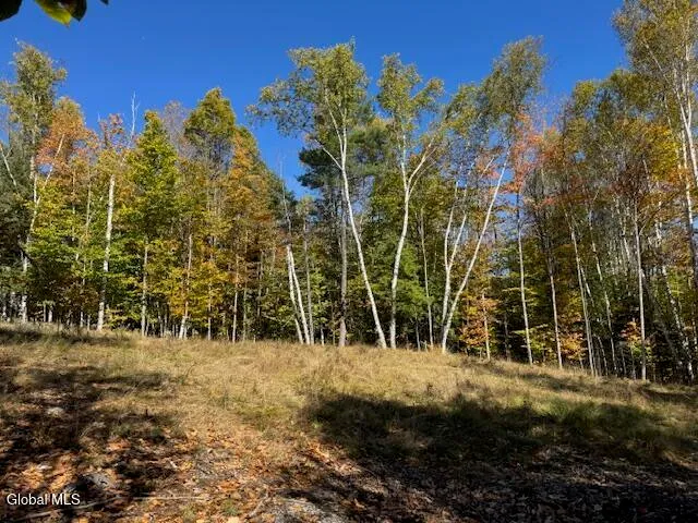 $68,000 | 30 Mohican Trail, Johnsburg, NY 12853