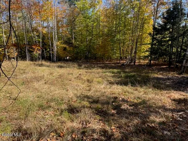 $68,000 | 30 Mohican Trail, Johnsburg, NY 12853