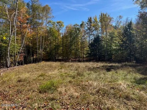 $68,000 | 30 Mohican Trail, Johnsburg, NY 12853