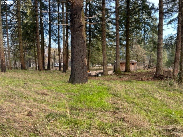 22755 Jennie Road Lyons, OR 97358 - Photo 25 of 31 Gallery Image 25
