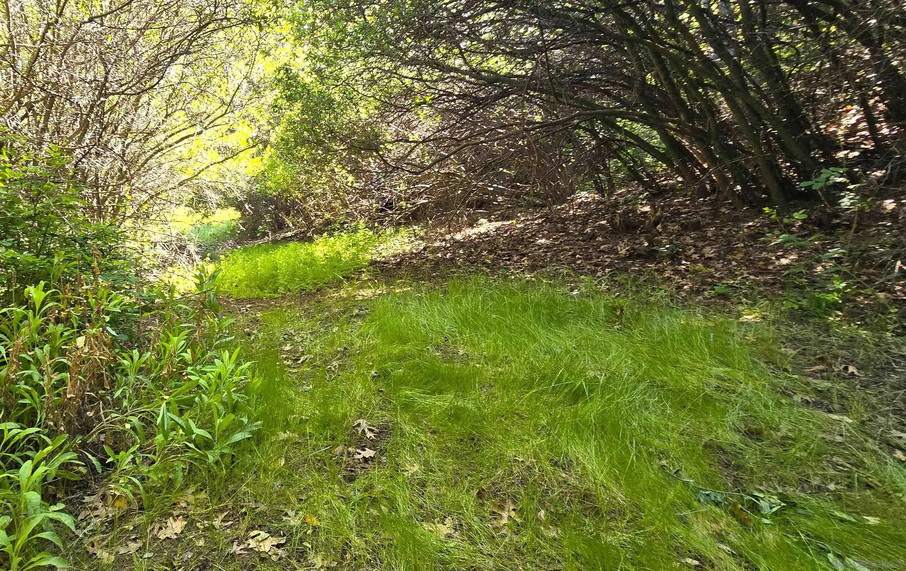 38 Creek Road, Unit 66 13 Julian, CA 92036 - Photo 10 of 16 a view of a yard