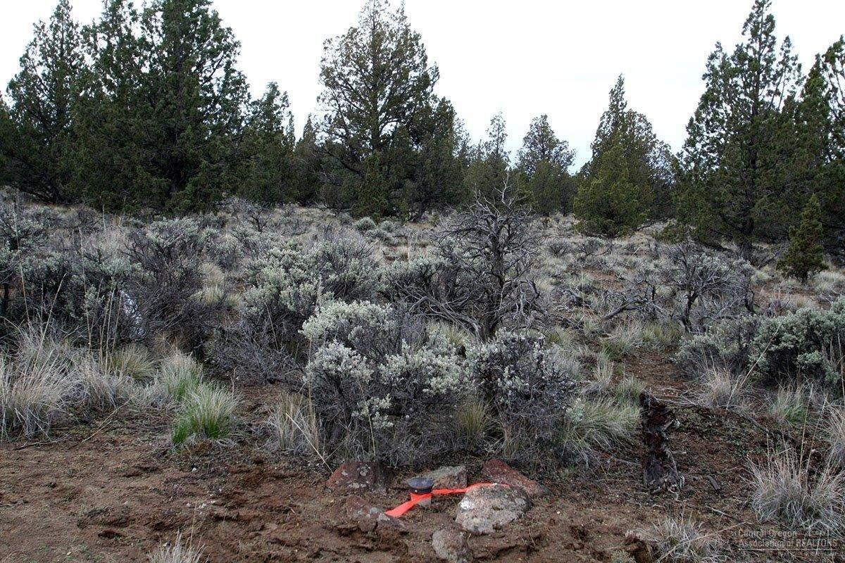 7500 Cherokee Road Post, OR 97752 - Photo 9 of 14 The NE Corner of the property, also the