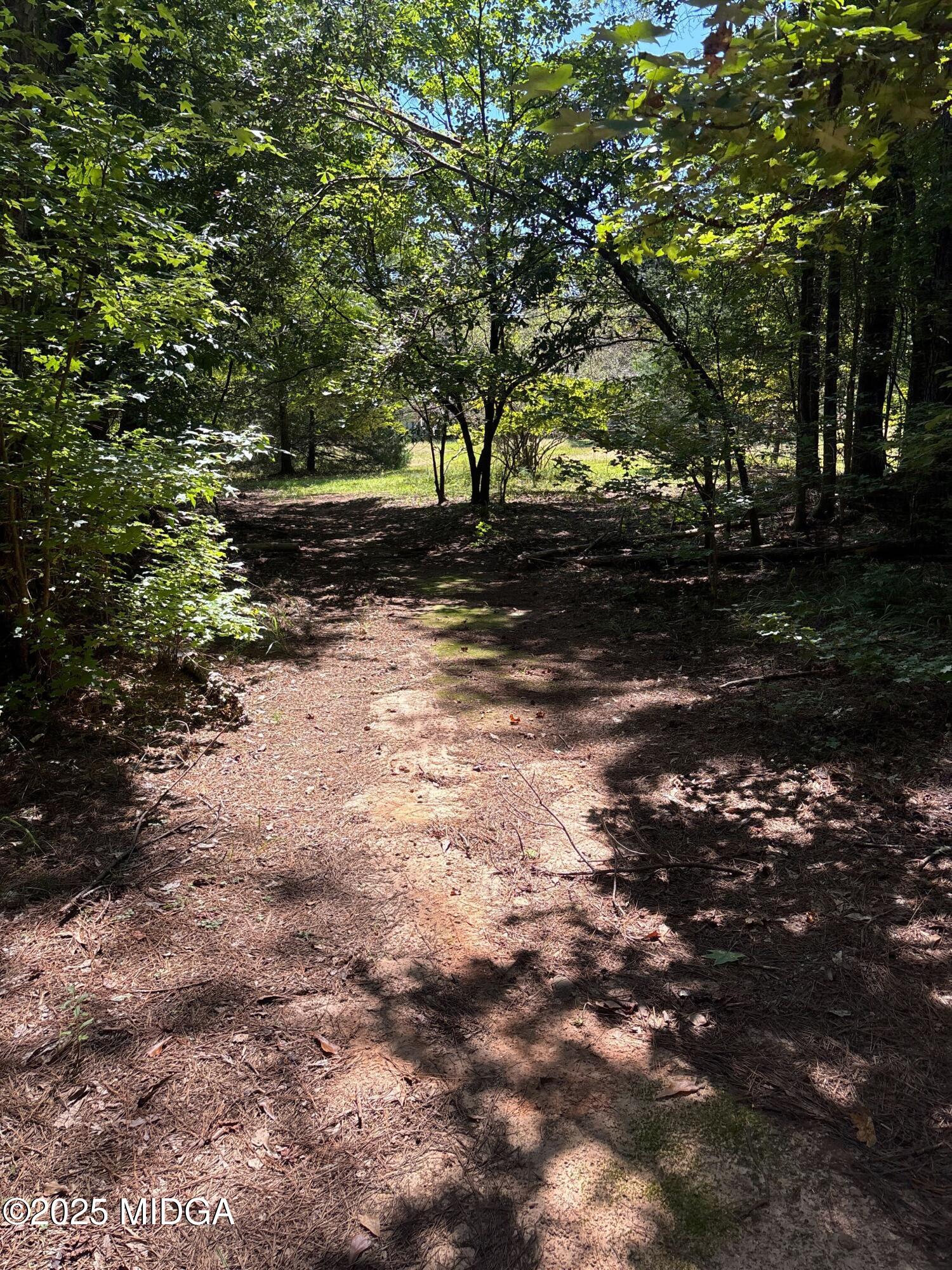 674 Stokes Store Road Forsyth, GA 31029 - Photo 23 of 25 IMG_8720