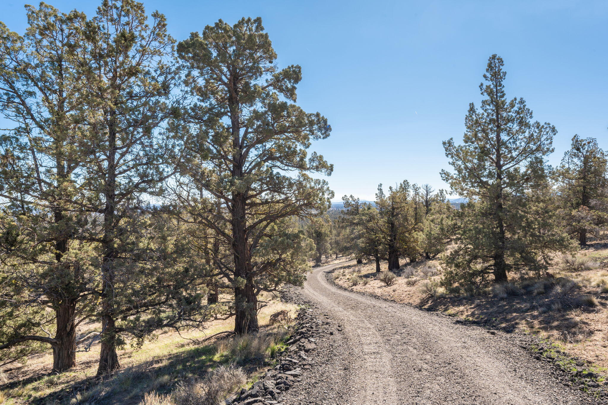 19040 Dusty Loop Bend, OR 97703 - Photo 16 of 27