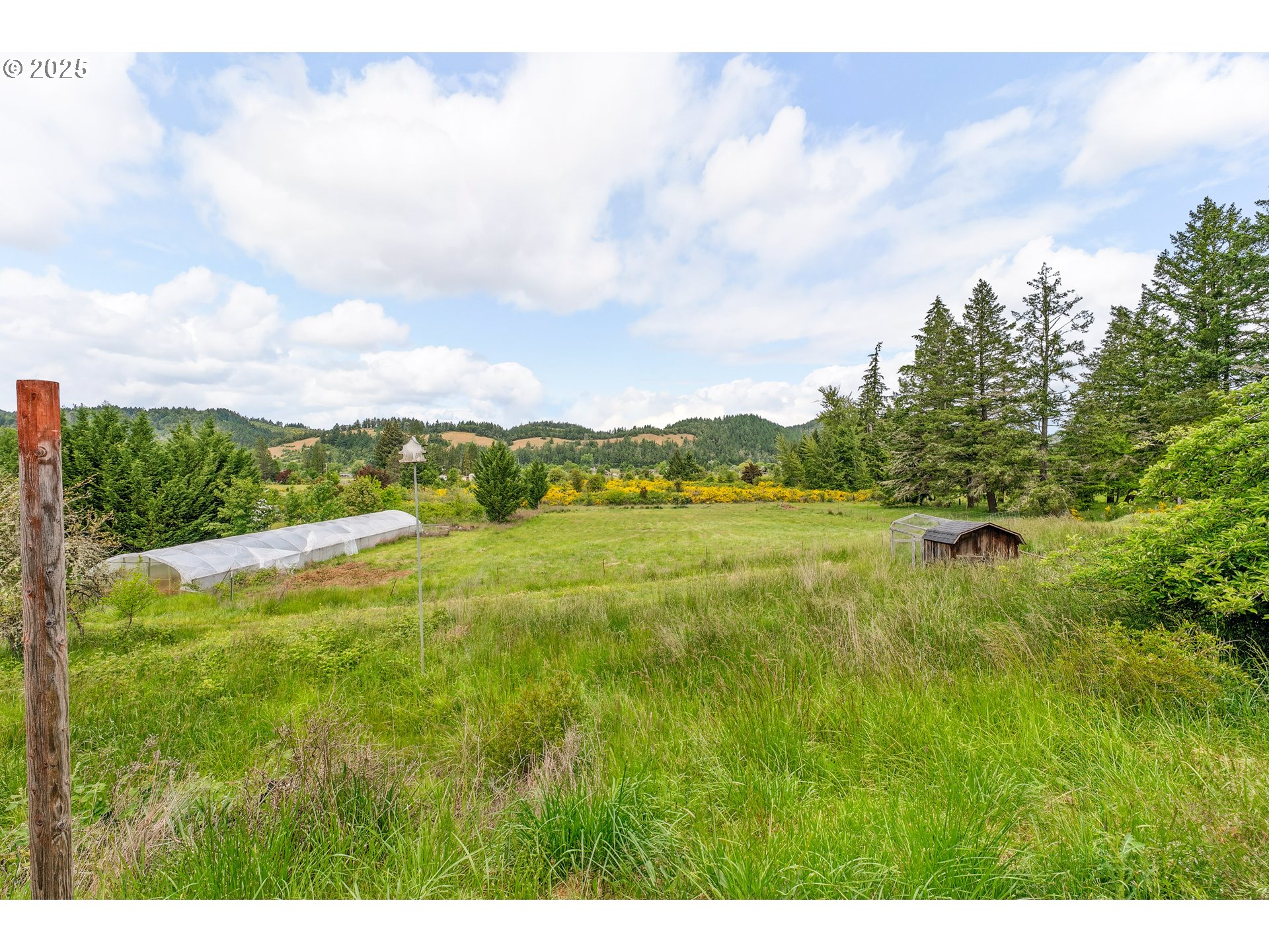 250 Valley View Road Sutherlin, OR 97479 - Photo 36 of 46 Backyard