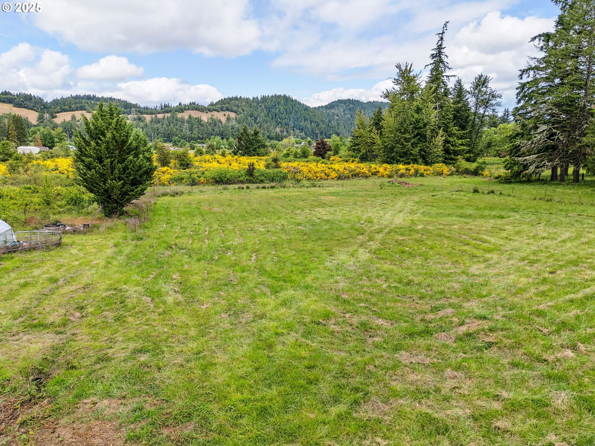 250 Valley View Road Sutherlin, OR 97479 - Photo 37 of 46 Pasture