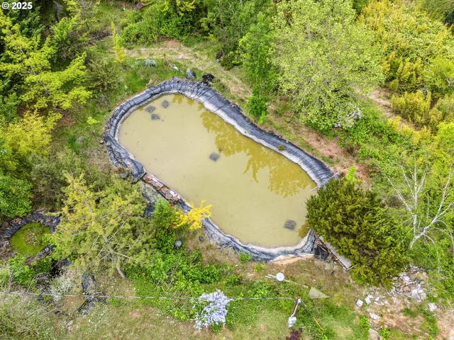 a view of a yard with potted plants