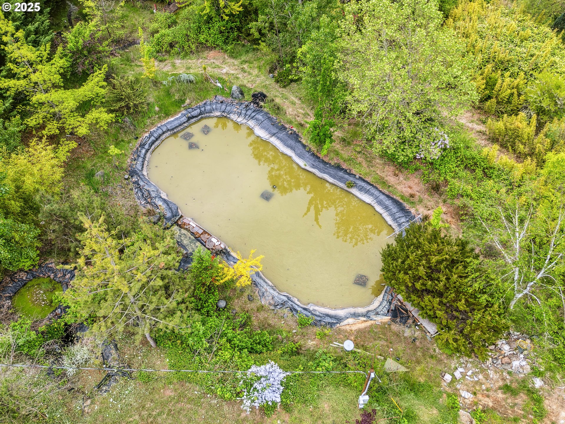 250 Valley View Road Sutherlin, OR 97479 - Photo 42 of 46 Pond